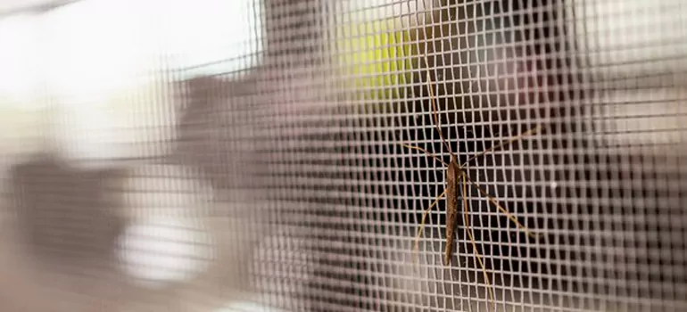 Repair Mosquito Mesh For Windows in San Mateo, CA